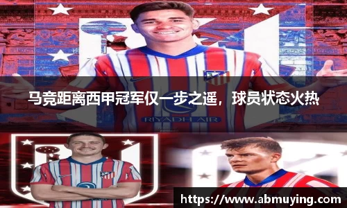 BSports网页版