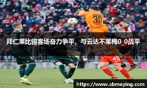 BSports网页版
