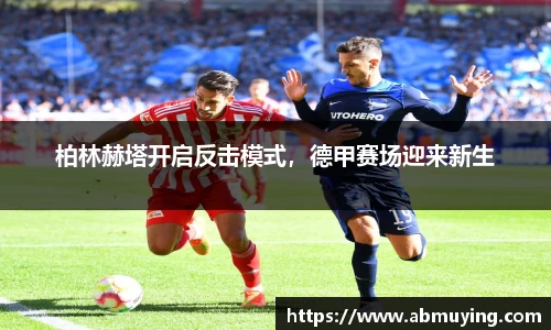 BSports网页版