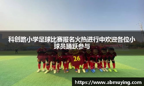 BSports网页版